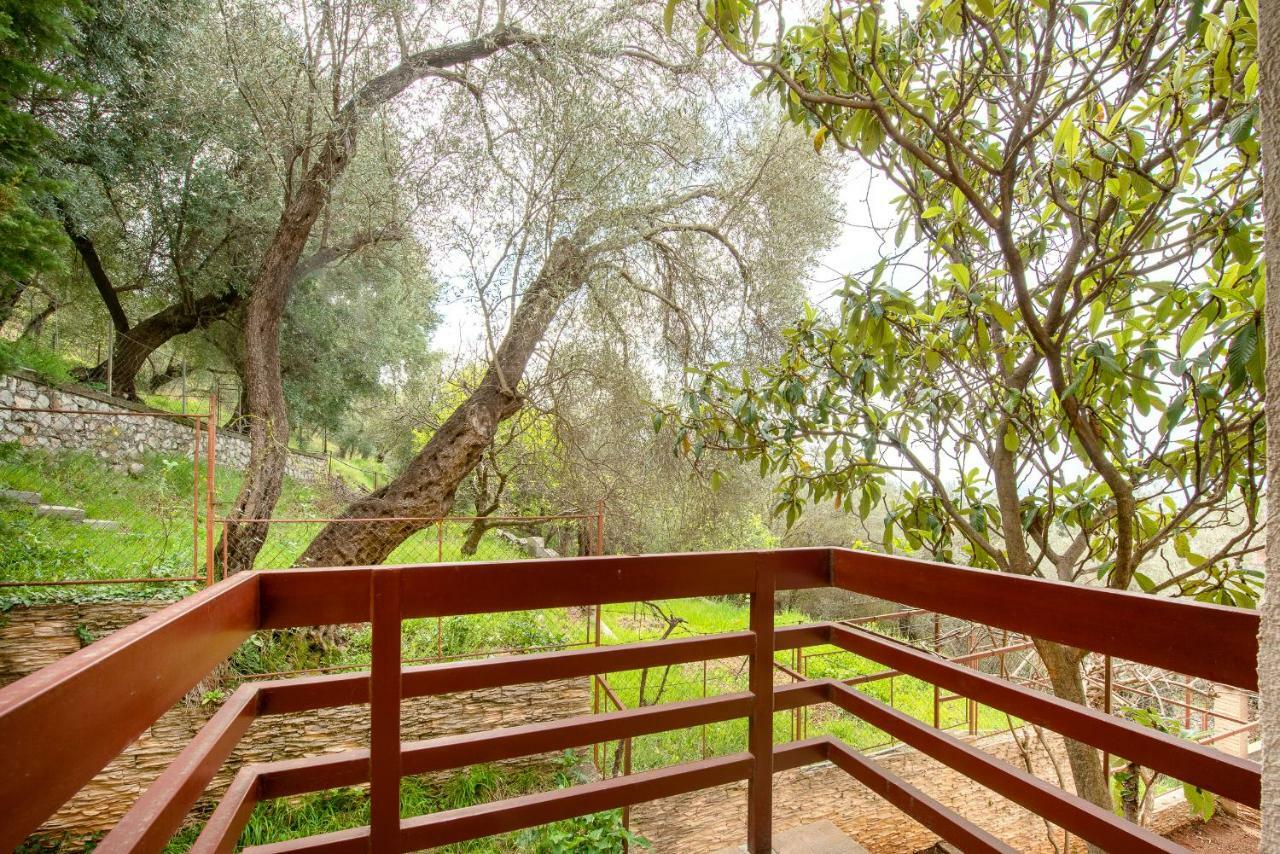 Villa Milana Μπούντβα Εξωτερικό φωτογραφία